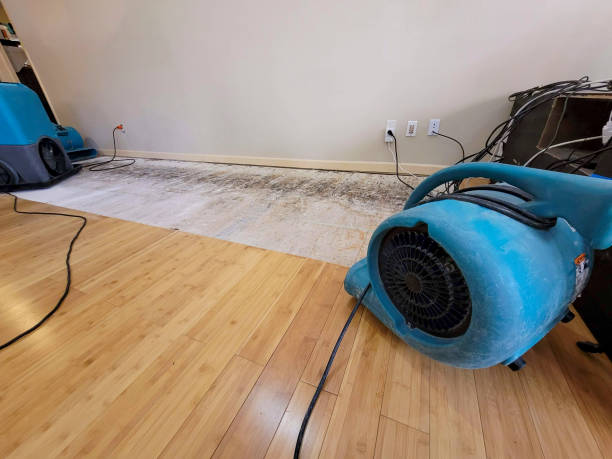 Professional Ceiling Water Damage Repair technician working in Carteret, NJ
